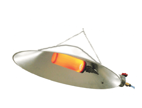 Chismo – 1000 Gas Brooder