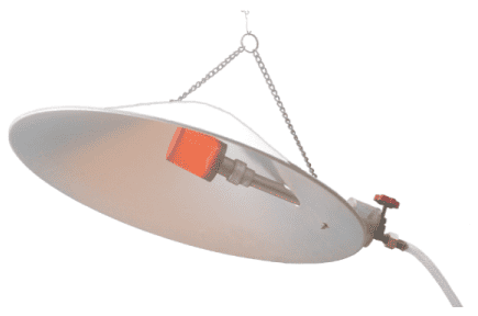 Chismo – 500 Gas Brooder
