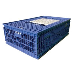 Hatcheries, Breeding & Transportation Equipments