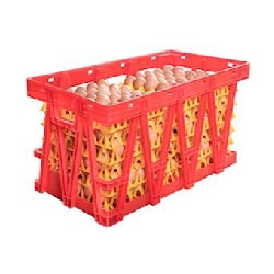 Egg Transportation Cage