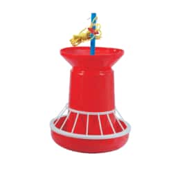 Feeding Equipments