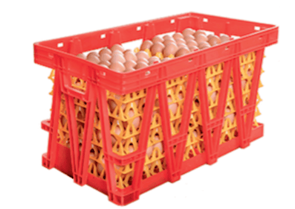 Egg Storage Solution & Transportation Cage