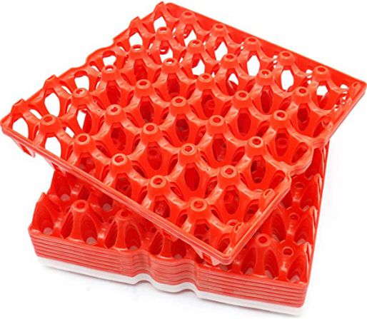 Plastic Egg Trays